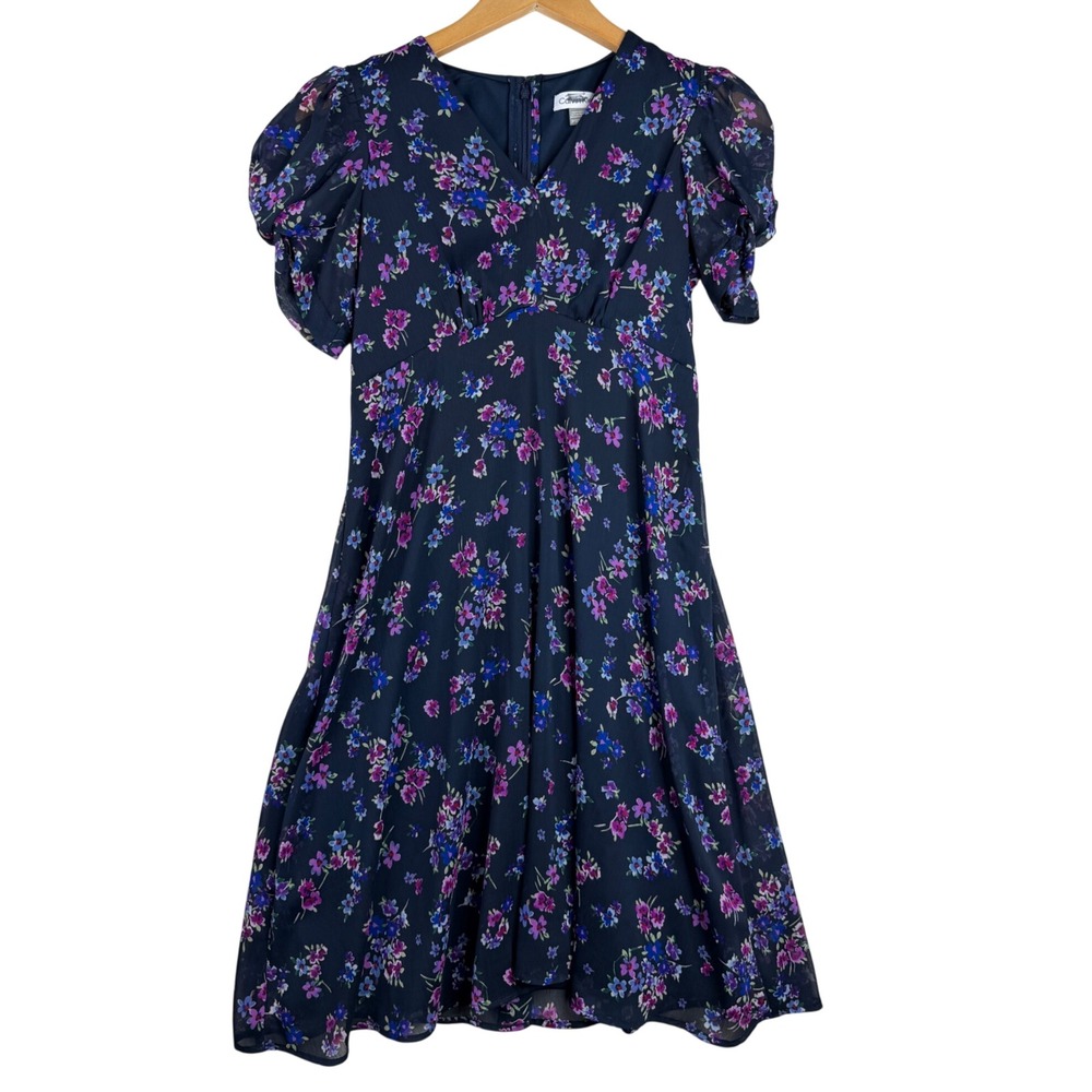 Calvin Klein Floral Print Puff Sleeve Knee Length Dress size 2 Petite Blue/Pink